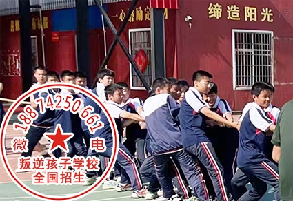 特训学校真的很暴力打学生吗