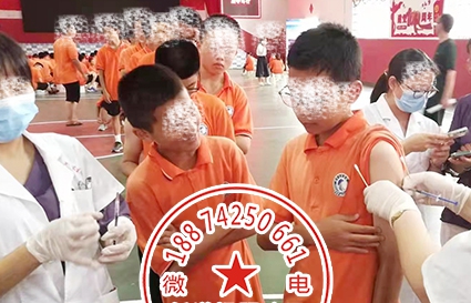 湖南青少年健康辅导学校