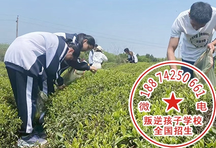 小孩子劳动改造基地学校机构