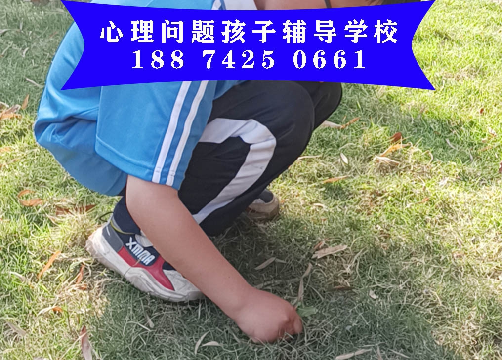 治疗青少年网瘾的培训学校