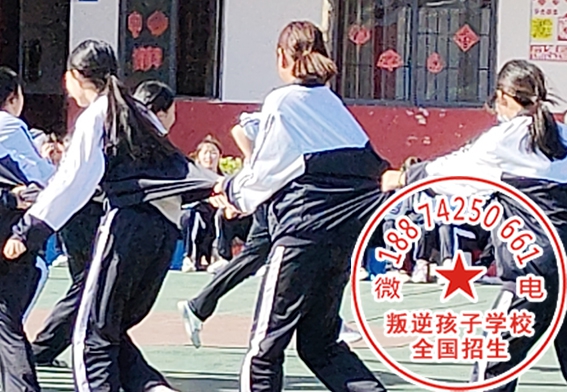 专门教育培训学校