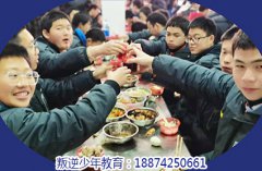 如何帮助孩子养成规律饮食习惯？家长必读指南