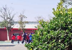 从自卑到阳光：益阳市少年在青少年管教学校的蜕变之旅