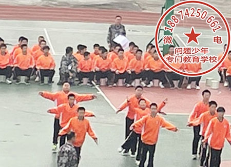 暑假夏令营报名